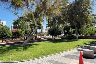 WhatsApp Image 2026-04-01 at 16.03.42.jpeg